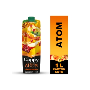 Cappy Atom Ballı Karışık Meyve Nektarı Karton Kutu 1 L