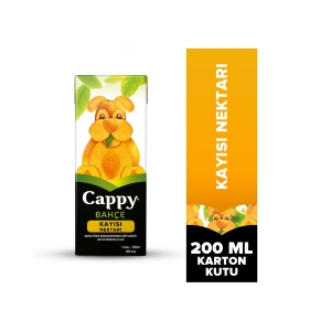 Cappy Bahçe Kayısı Nektarı Karton Kutu 200 ML