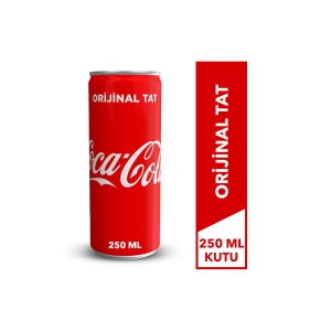 Coca-Cola 250 Ml Kutu