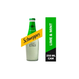Schweppes Misket Limonu Nane Aromalı Gazlı İçecek Cam 250 ML
